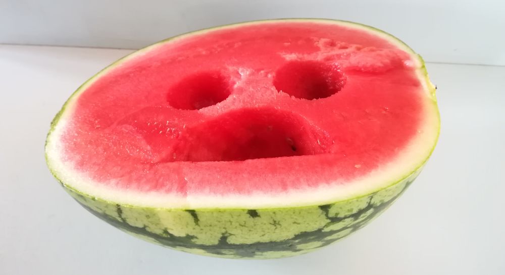 melone1